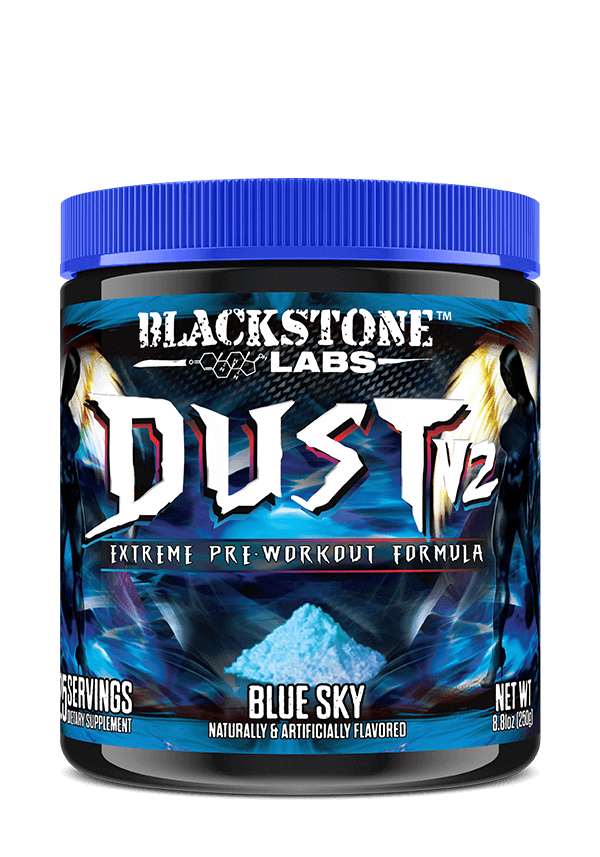 DUST v2