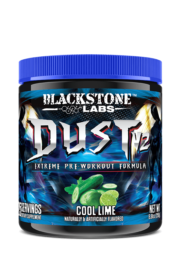 DUST v2